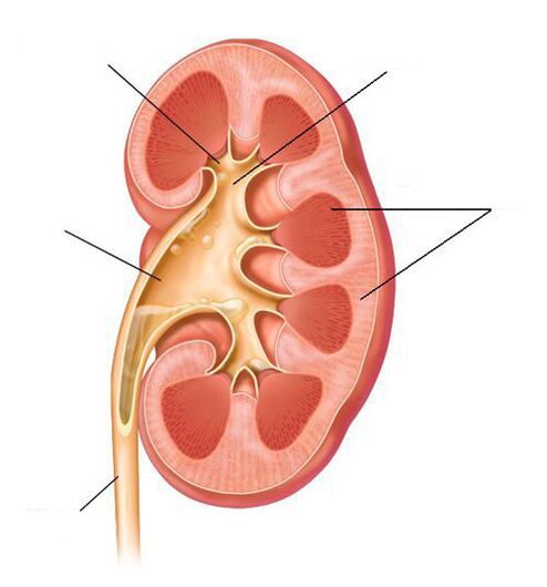 äge püelonefriit põiepõletiku tüsistusena